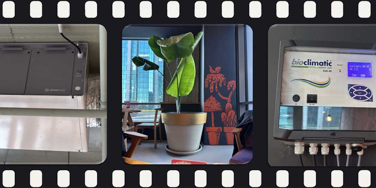 Marquis Intelligence - Mini studija slučaja - KAFETERIJA